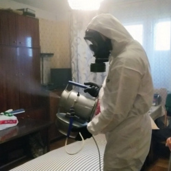 Дезинфекция от клопов в Нижнем Ломове