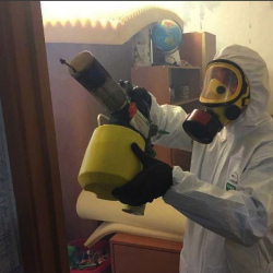 Уничтожение клопов в квартире. Нижний Ломов